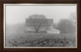 Barns and Geese Posters by Tarver 