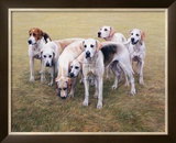 Seven V.W.H. Foxhounds Limited Edition Framed Print by Gary Stinton