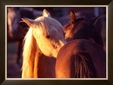 Telling Secrets Framed Giclee Print by Sara Stafford