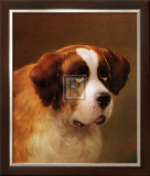 Head of a St. Bernard Posters by P. Magee