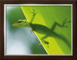 Here's Looking at You Kid Framed Giclee Print by Devon Stevens
