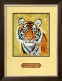 Tiger Prints by Nancy Azneer