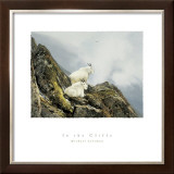 In the Cliffs Prints by Michael Coleman