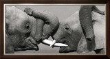 African Elephant Posters by Jean-Michel Labat