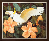 Cockatoo and Hibiscus Poster by Jessie Arms Botke