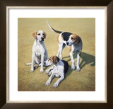 Cotswold Foxhounds Limited Edition Framed Print by Gary Stinton