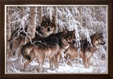 Crystal Forest Prints by Larry Fanning