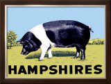 Hampshires Framed Giclee Print