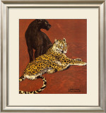 Jaguar and Black Panther Prints by Warwick Reynolds