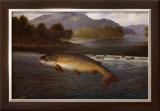 Hooked! Prints by Roland Knight