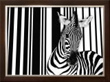 Zebra I Prints by Tim Flach