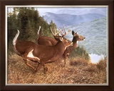 Running Deer Prints by Robert Travers