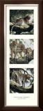Light and Shade I Prints by Spencer Hodge