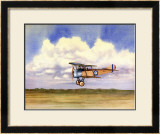 Sop with Pup Framed Giclee Print by Douglas Castleman