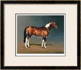 Stanhopes Diddicoy Limited Edition Framed Print by Susan Crawford