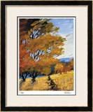 Summer's Afternoon Limited Edition Framed Print by Michael Tienhaara