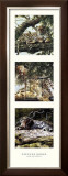 Light and Shade II Posters by Spencer Hodge