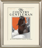 Beaver in Winter, c.1916 Framed Giclee Print by Charles Livingston Bull