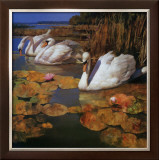 The Swans Family II Art by Spartaco Lombardo