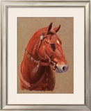 Greencoat Framed Giclee Print by Lorrie Beck