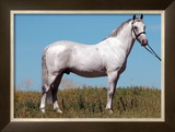 Stand Proud Framed Giclee Print by Sara Stafford