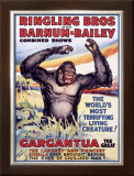 Ringling Brothers: Gargantua the Great Framed Giclee Print