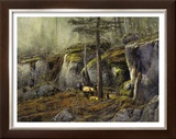 In the Shadows Prints by Michael Coleman