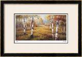 Forest Meadow Limited Edition Framed Print by Stephen Douglas