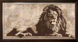 Lion Prints by Andrew Cooper