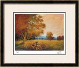 Sunset Path Limited Edition Framed Print by Michael Tienhaara