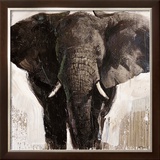 Elephant Posters by Emmanual Michel