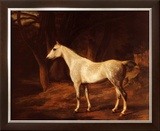 Forest Dapple Print by Jacques-Laurent Agasse