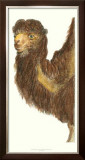 Elongated Camel Prints by Marechal 