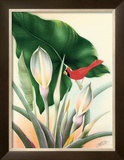 Cardinal Framed Giclee Print by Frank Oda