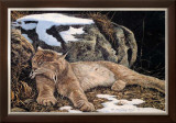 Time to Rest Lynx Posters by Alan Sakhavarz