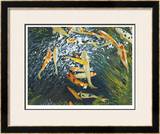 Koi III Limited Edition Framed Print by Mark St. John