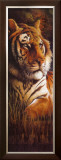 Tiger Print by Clay Taylor