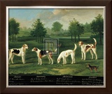 Two Couples of Hounds in a Park Print by Francis Sartorius