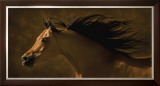Arabian Runner Prints by Robert Dawson