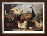Barnyard with Chickens Prints by Melchior d'Hondecoeter