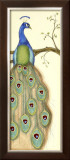 Rebecca's Peacock I Prints by Jennifer Goldberger