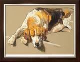 Hound in a Kennel Limited Edition Framed Print by Andre Pater