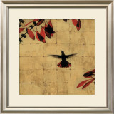 Colibri Donovan Height Highest Art
