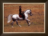 In the Country Framed Giclee Print by Sara Stafford
