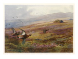 Edward VII Grouse Moor at Balmoral - One of His Favourite Hunting Grounds Giclee Print Edward VII Grouse Moor at Balmoral - One of His Favourite Hunting Grounds Giclee Print