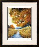 Summer's Edge Limited Edition Framed Print by Michael Tienhaara