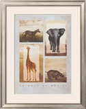 Animals of Africa Prints by Emmanuelle Teyras