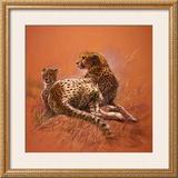 Cheetah Mother Prints by Renato Casaro