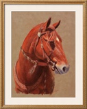 Greencoat Framed Giclee Print by Lorrie Beck