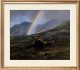 Over the Pass Art by Michael Coleman